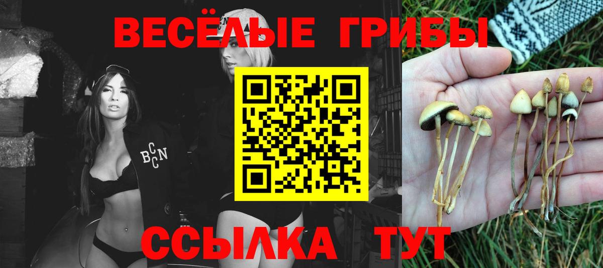 купить наркотики сайты  Вход с VPN  Туймазы  Псилоцибиновые грибы прущие грибы 