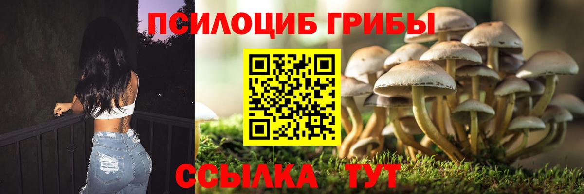 Галлюциногенные грибы MAGIC MUSHROOMS Туймазы